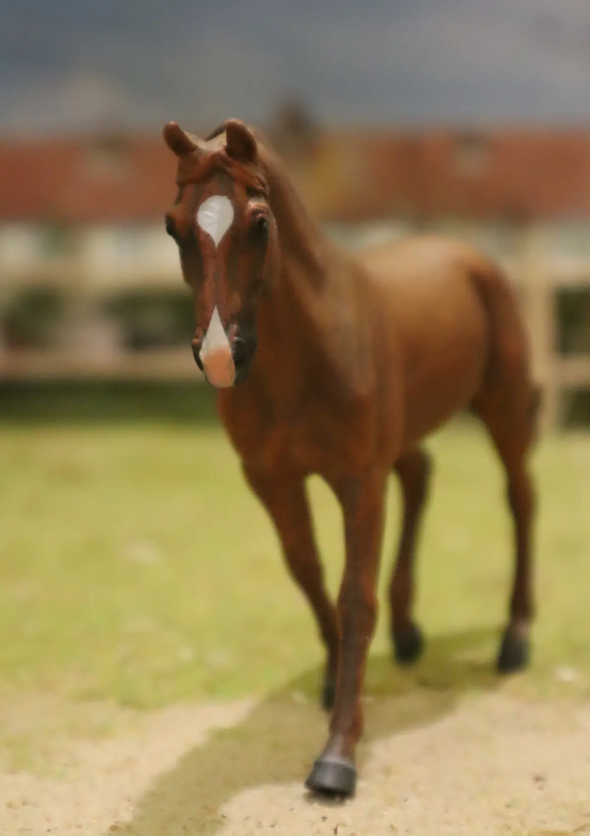 cheval avis2