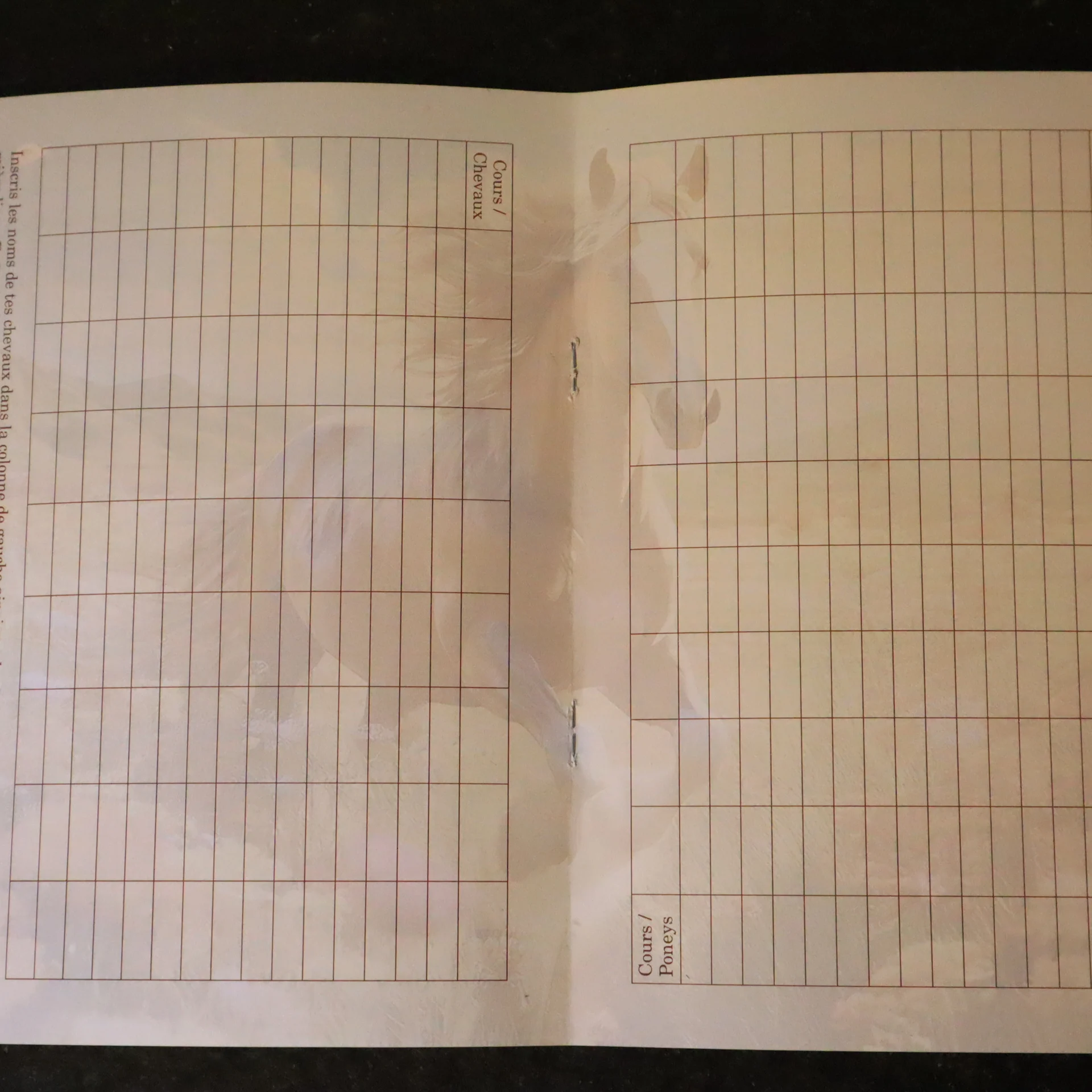 Journal de bord de mon centre équestre – Image 4