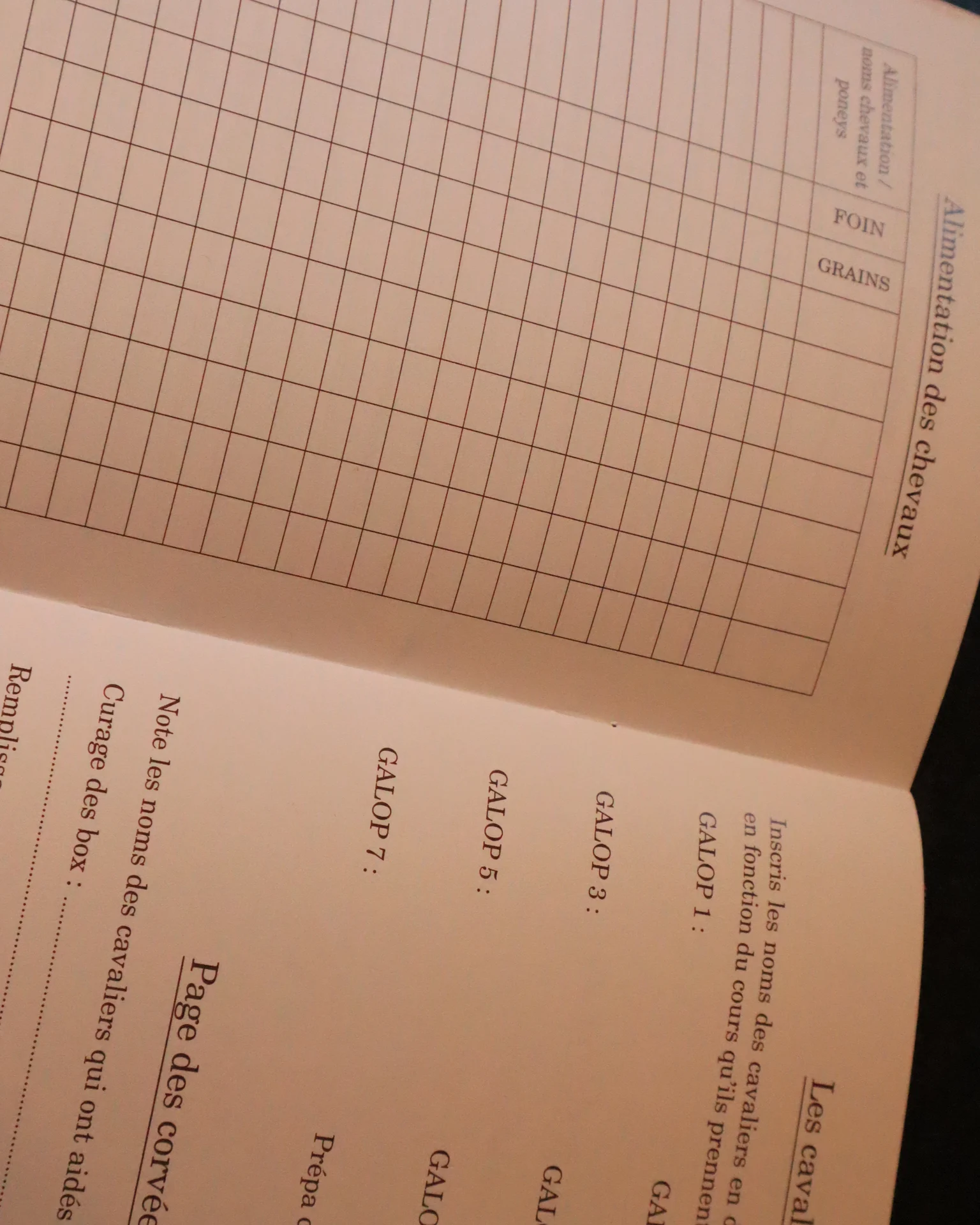 Journal de bord de mon centre équestre – Image 6