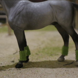 Création : bandes de polo