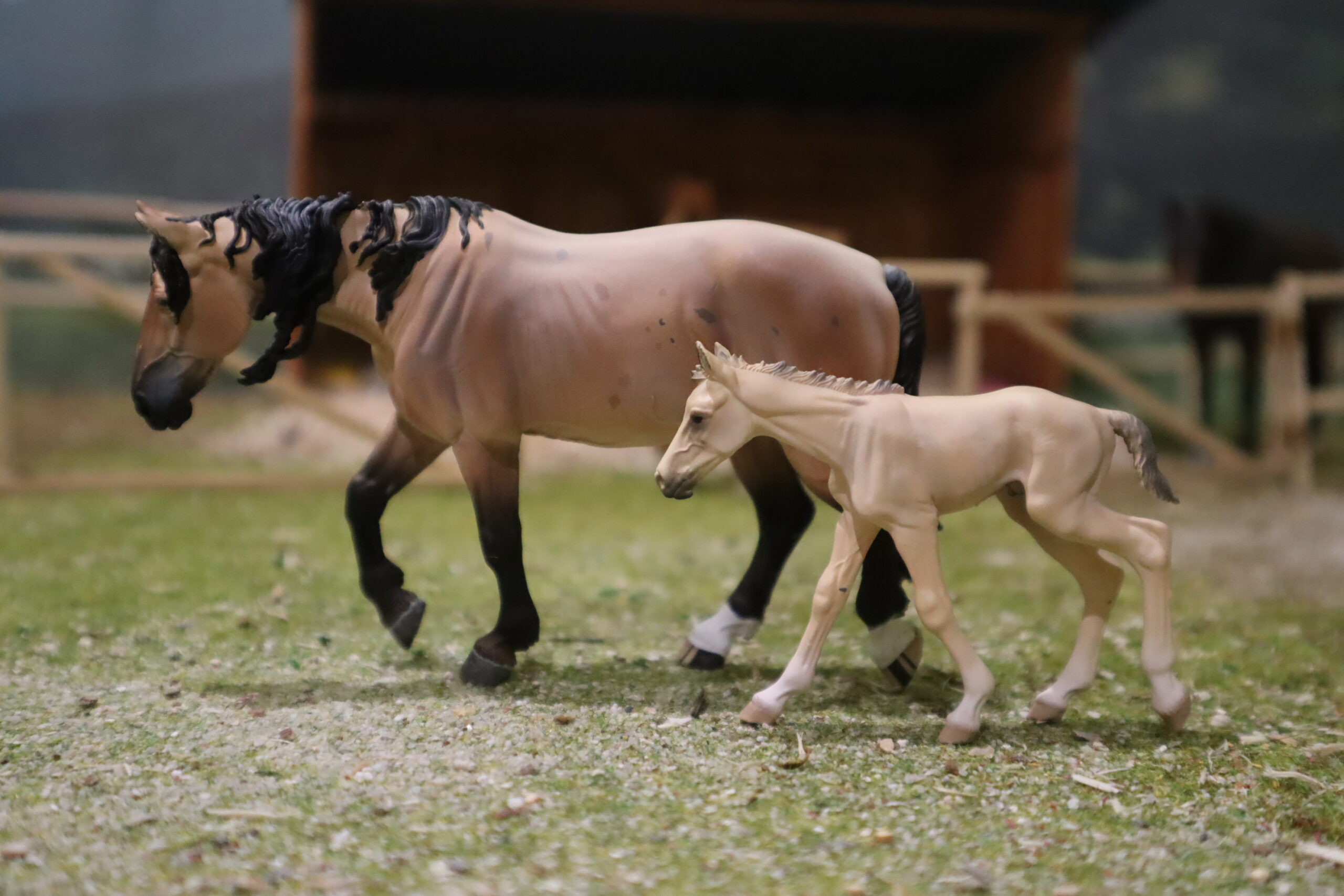 WIA Jument mustang rouan et son poulain – Image 2