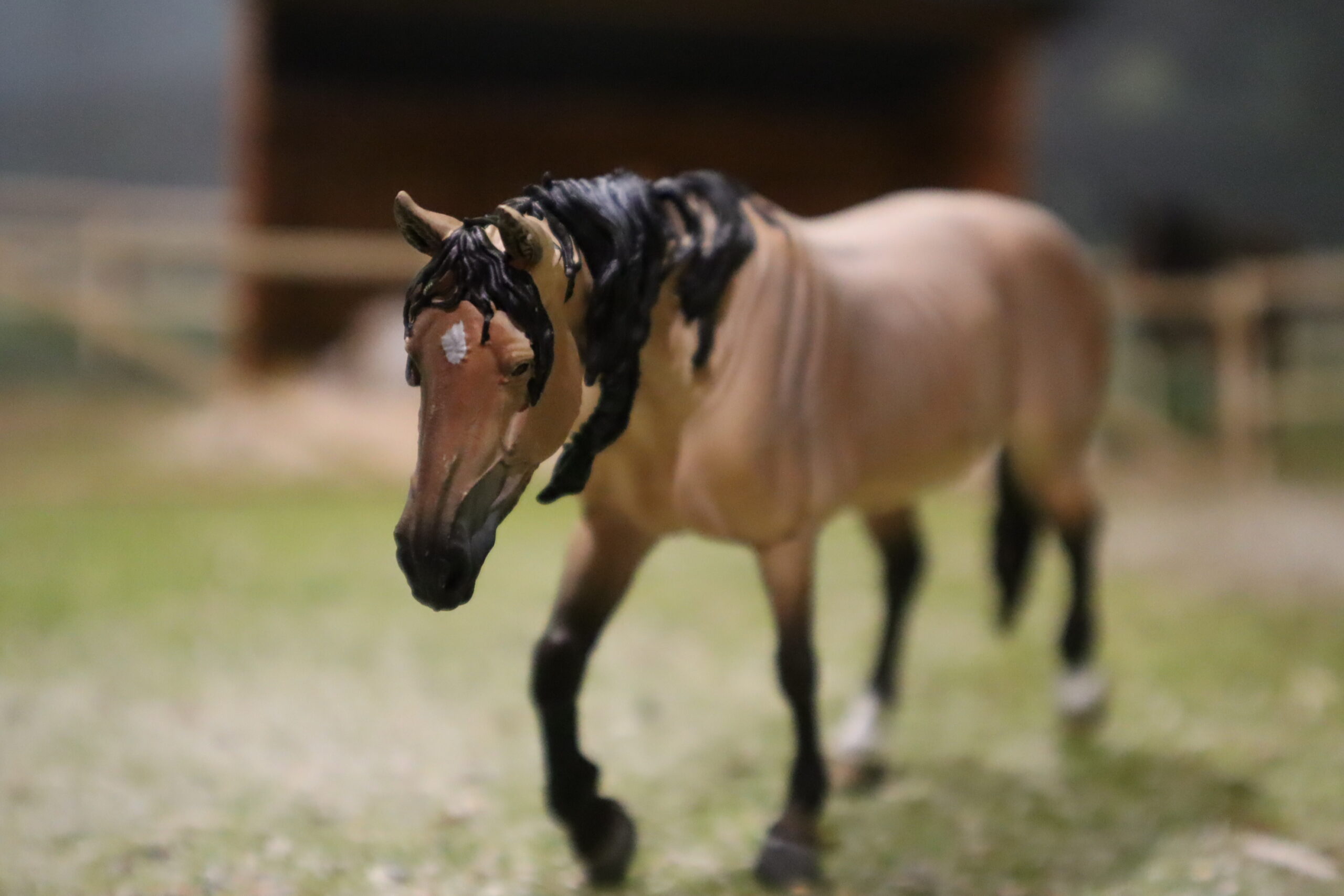 WIA Jument mustang rouan et son poulain – Image 4