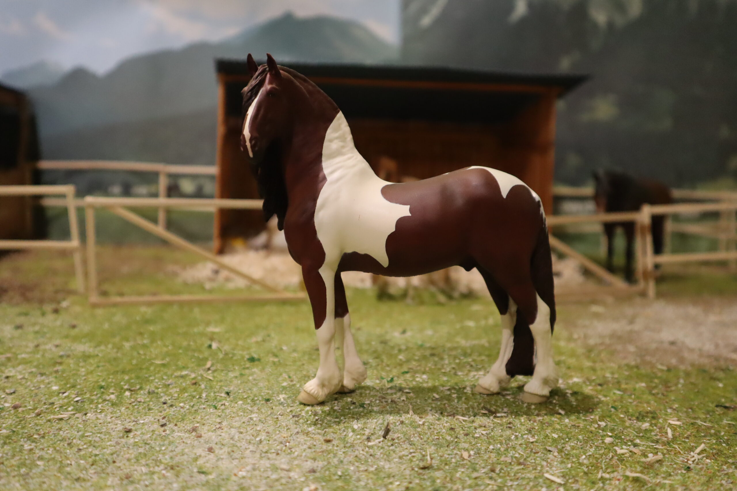 WIA Niklas Pinto baroque – Image 3