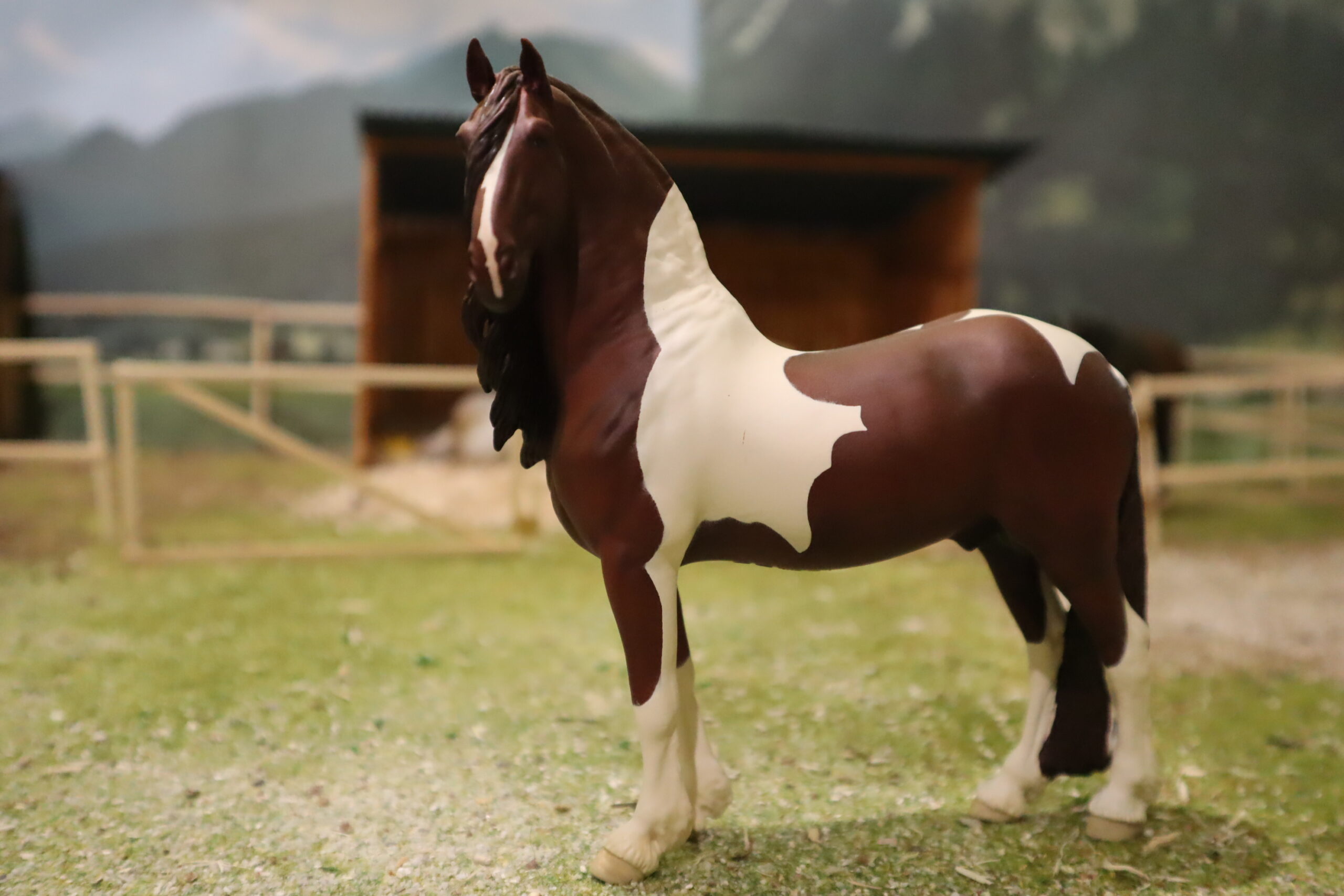 WIA Niklas Pinto baroque – Image 4