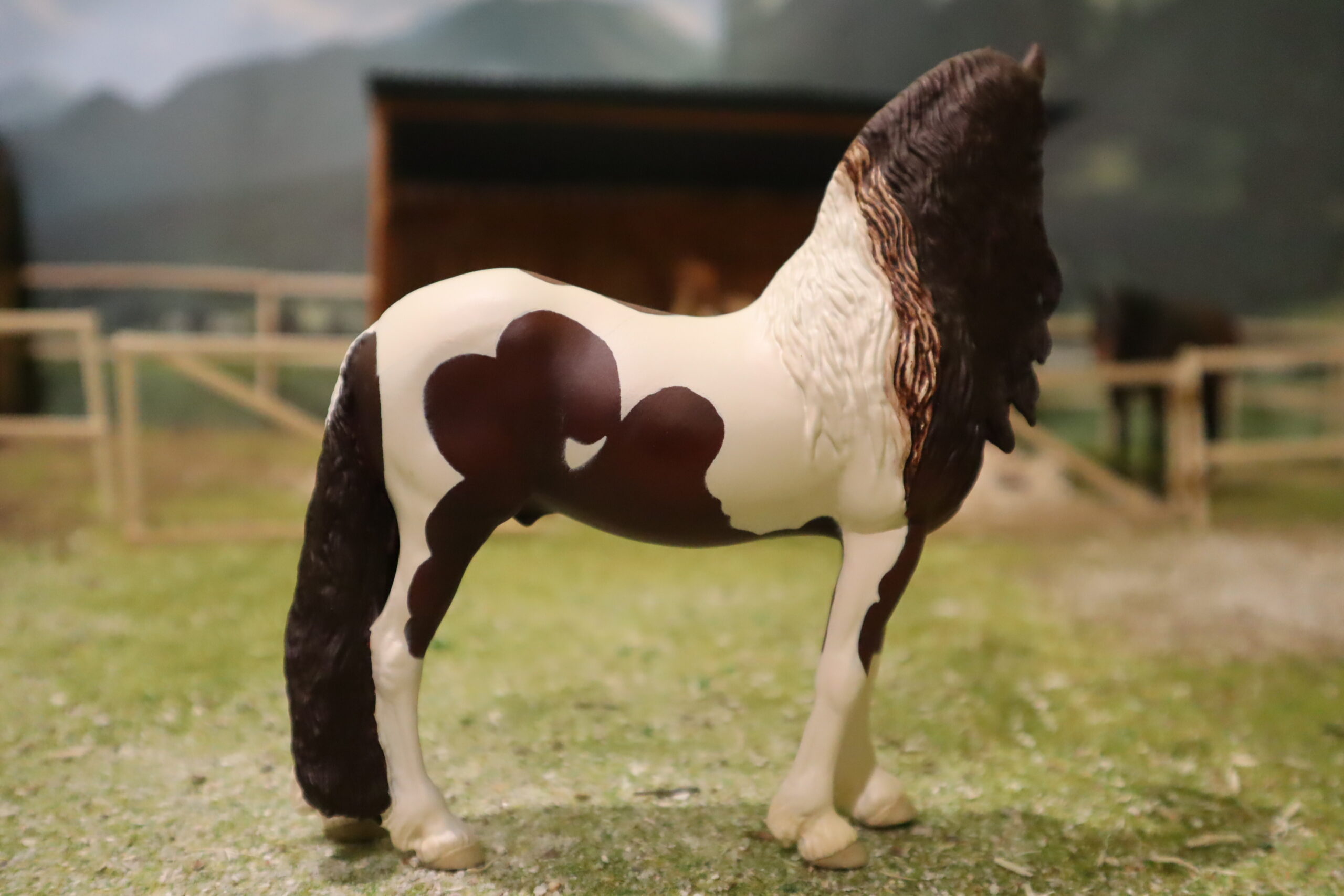 WIA Niklas Pinto baroque – Image 6