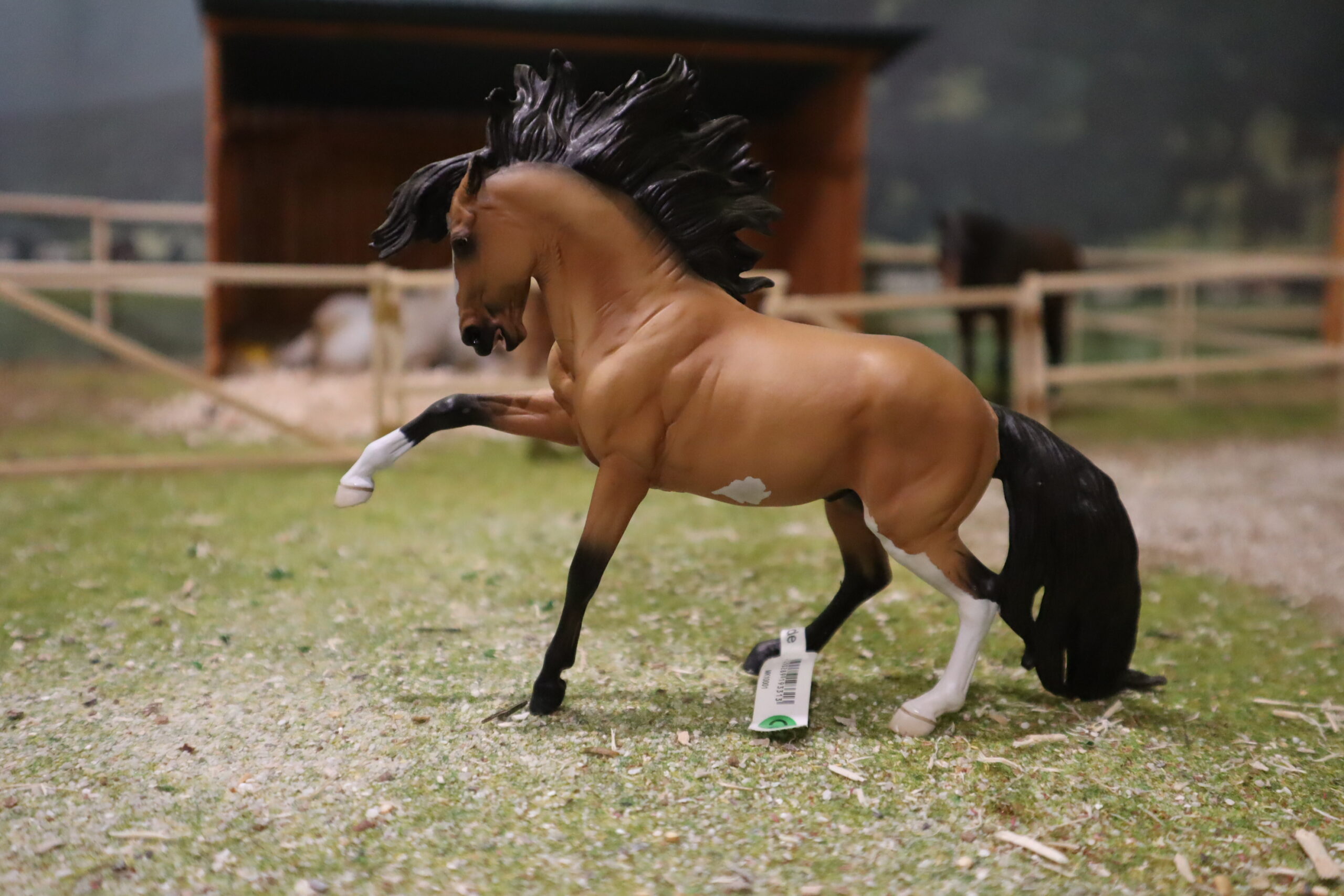 WIA Erren, édition Morgen Kilbourn – Image 3