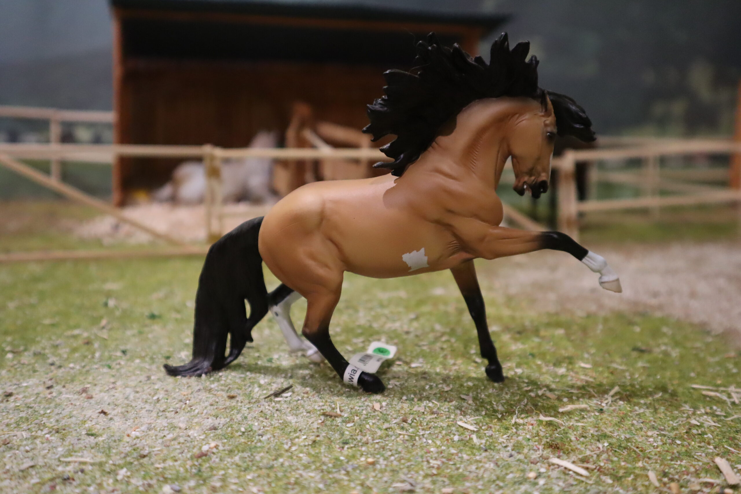 WIA Erren, édition Morgen Kilbourn – Image 4