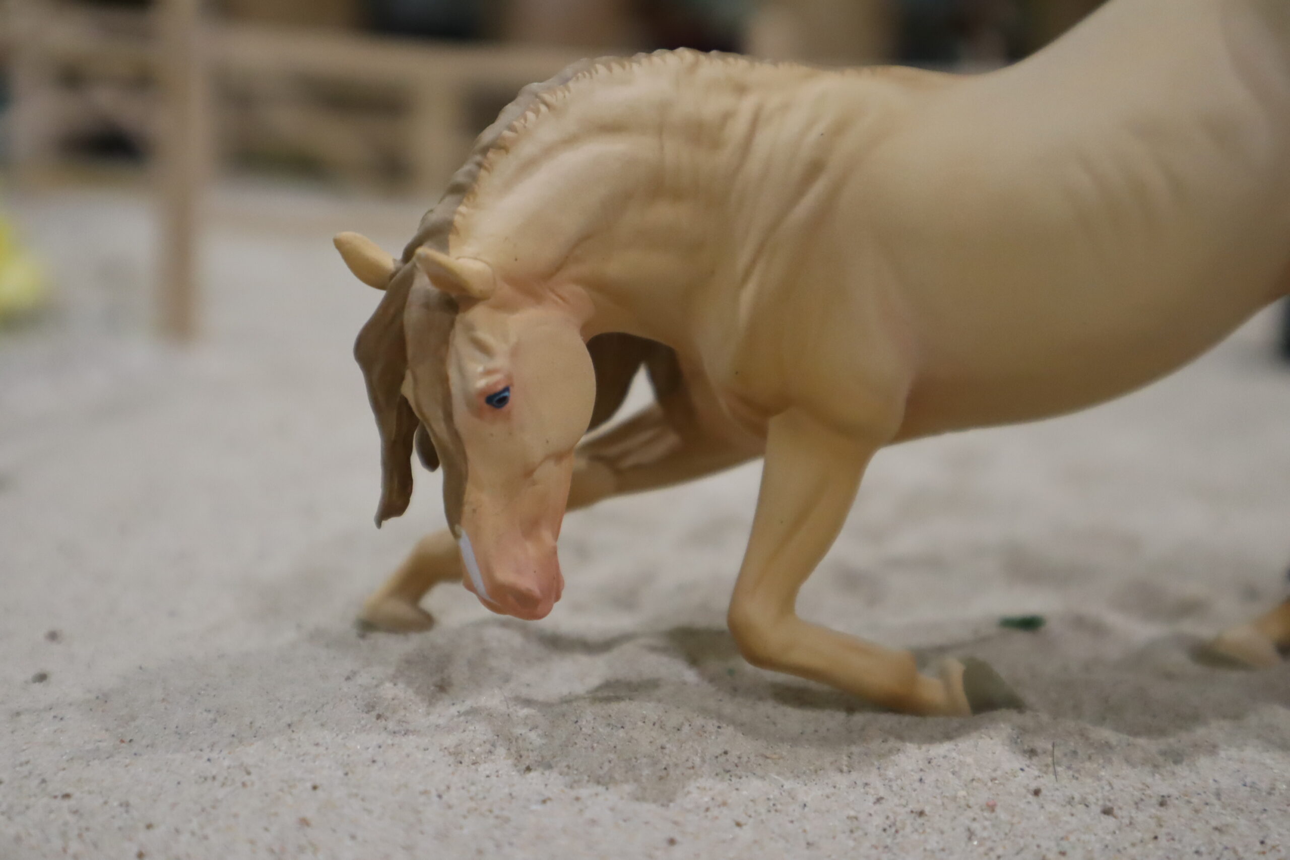 WIA Vincenzo Perlino – Image 4