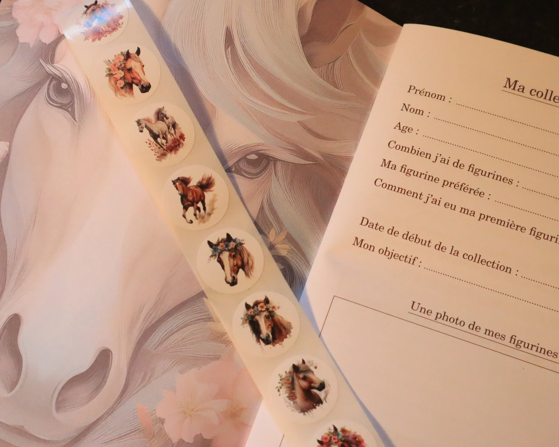 Journal de bord de mon centre équestre – Image 2