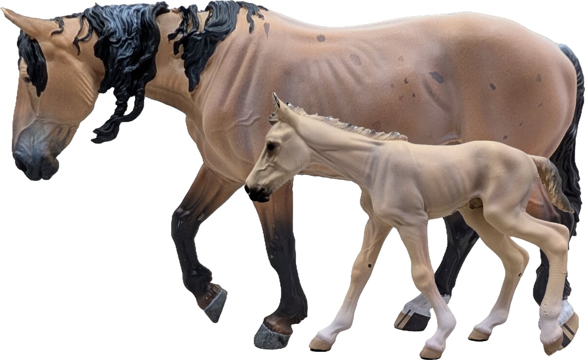 WIA Jument mustang rouan et son poulain