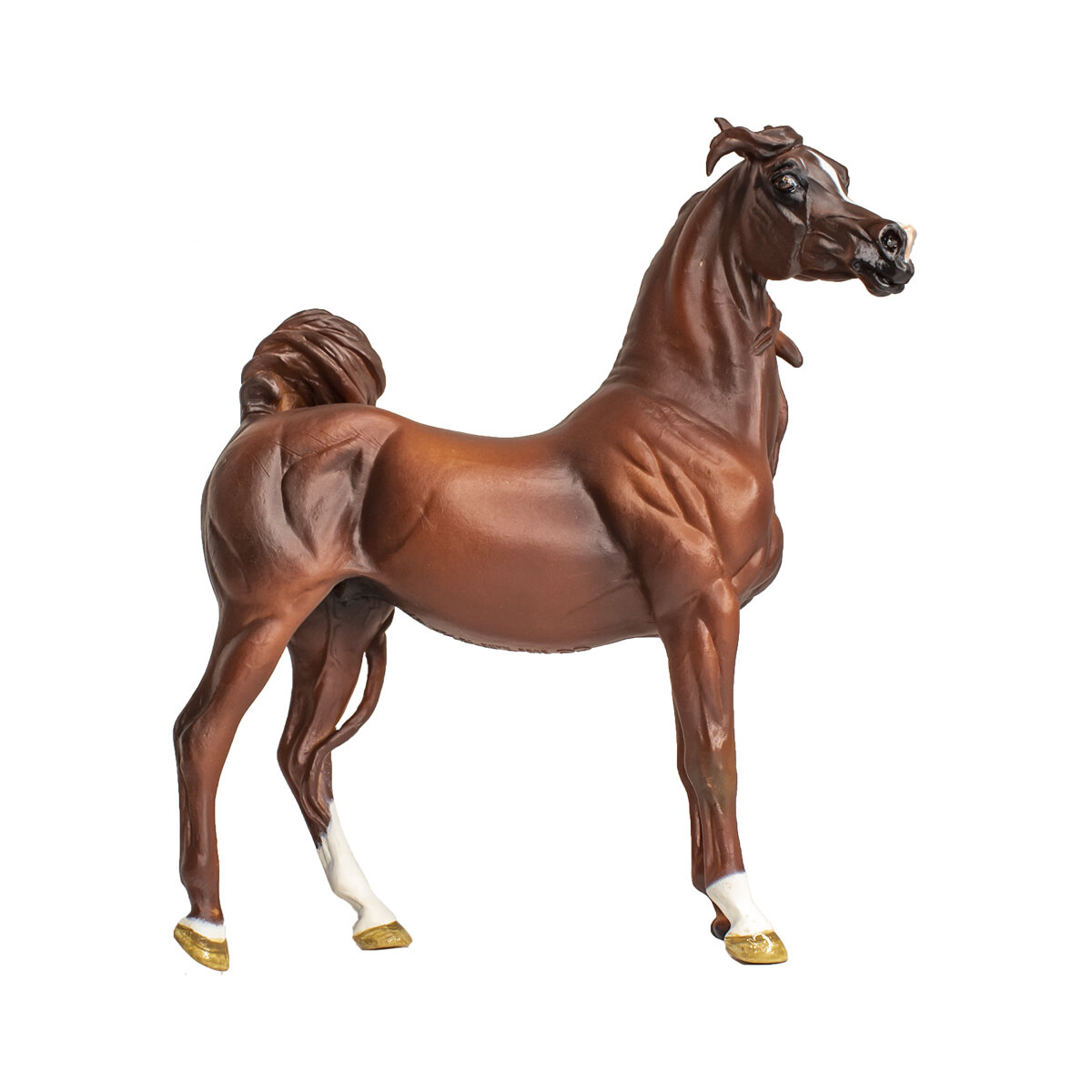 WIA Jument arabe alezane – Image 3