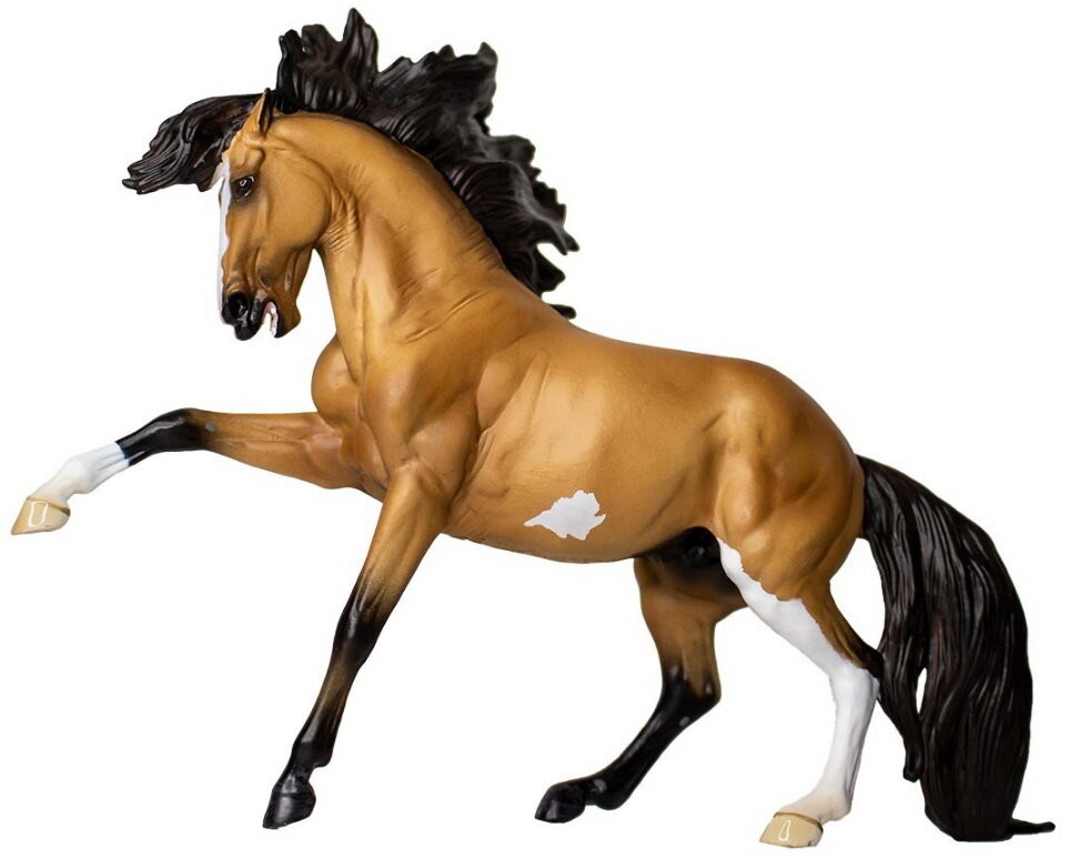 WIA Erren, édition Morgen Kilbourn