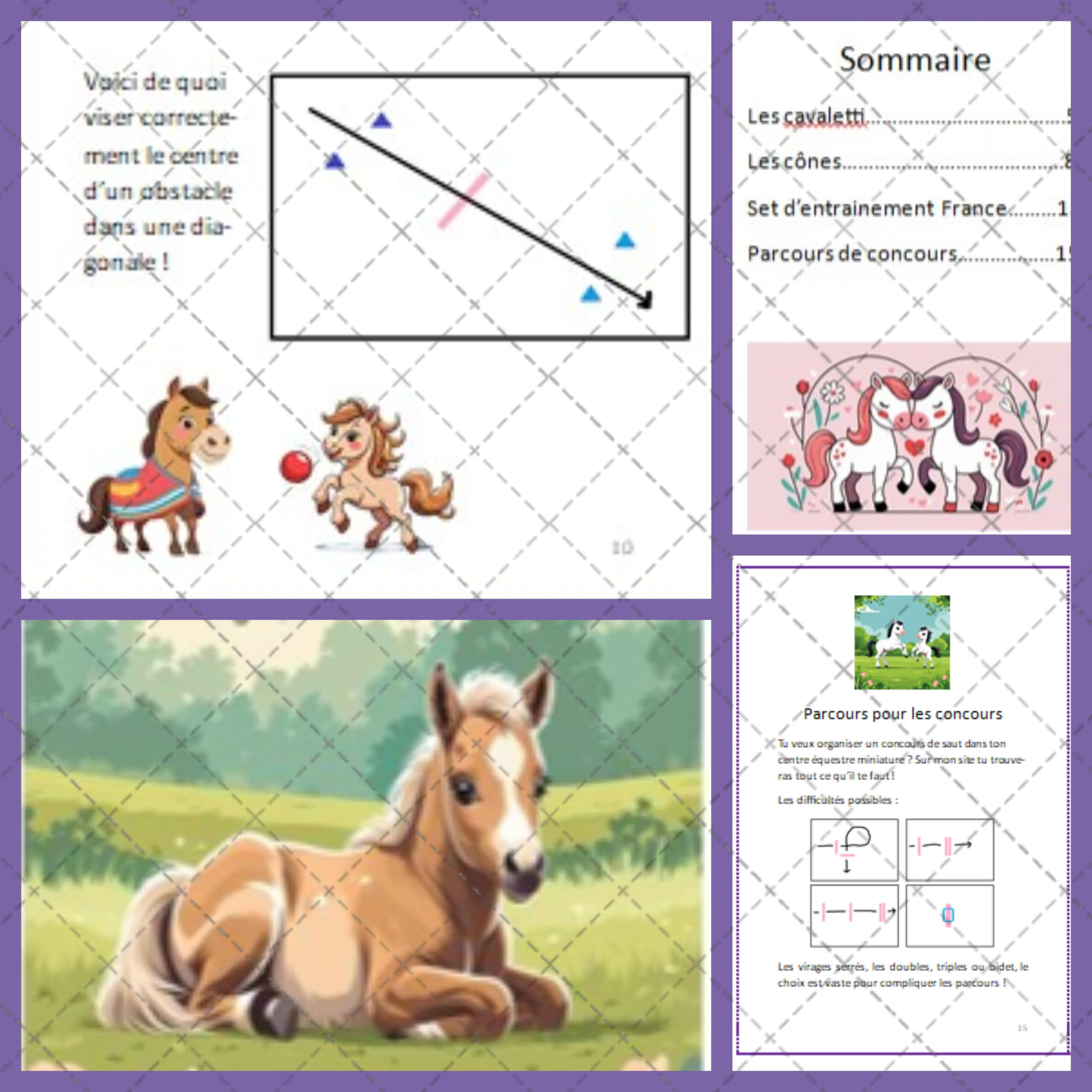 Livret d'exercice version digitale