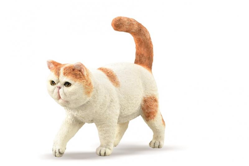 Chat Exotic Shorthair CollectA 88937