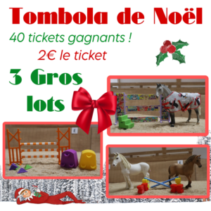 Tombola de Noël !