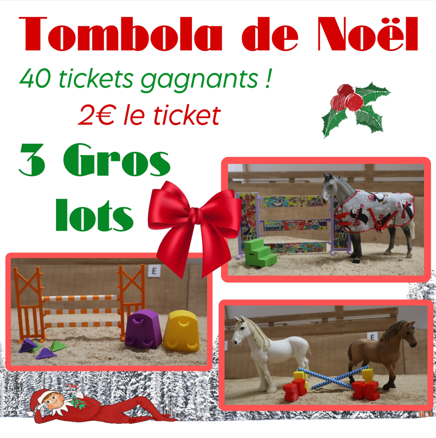 Tombola de Noël !