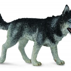 88707 Husky CollectA