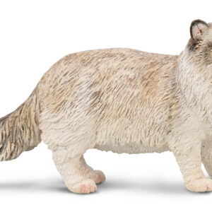 80059 Chat Ragdoll CollectA PRECOMMANDE