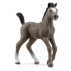 Poulain Selle Français Schleich